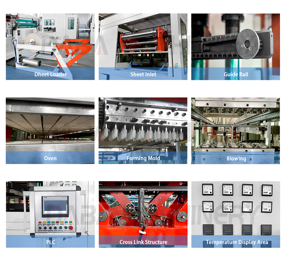DB-A750 Plastic Cup Thermoforming Machine feature (1).jpg