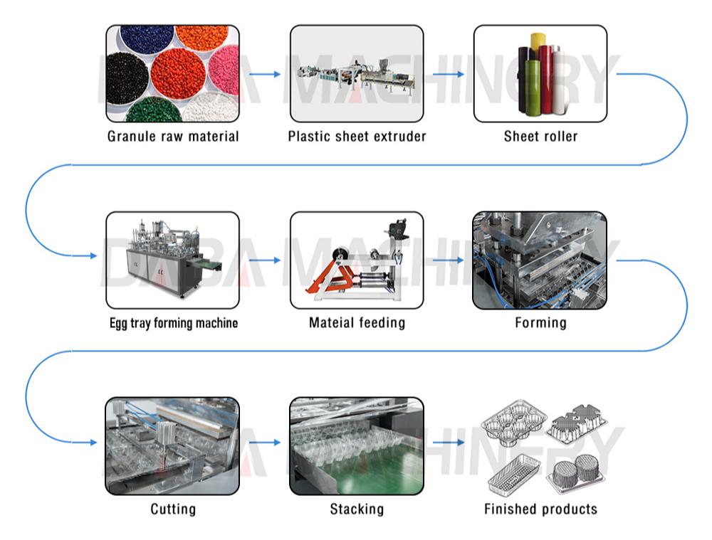 DBBG-S550 Fully Automatic Plastic Egg Tray Thermoforming Machine landing page (6).jpg DBBG-S550 Fully Automatic Plastic Egg Tray Thermoforming Machine landing page (6).jpg